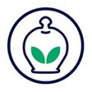 icon-green-web icon-green-web