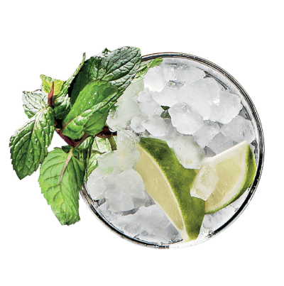 mojito pebble ice makers mojito pebble ice makers