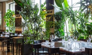 Campamac, Barbaresco (CN), Italy